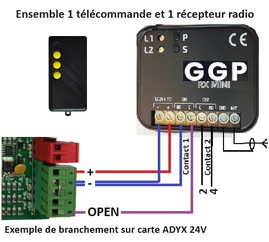 Ensemble_1_recepteur-radio_12-24V_2-telecommandes